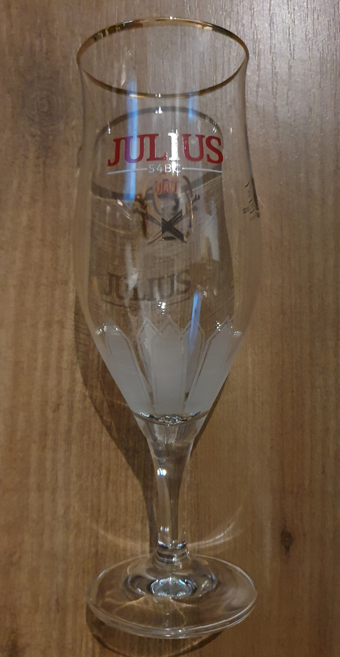 6 Julius bierglazen + 300 viltjes + 8 plastic tafelkaartjes Promo
