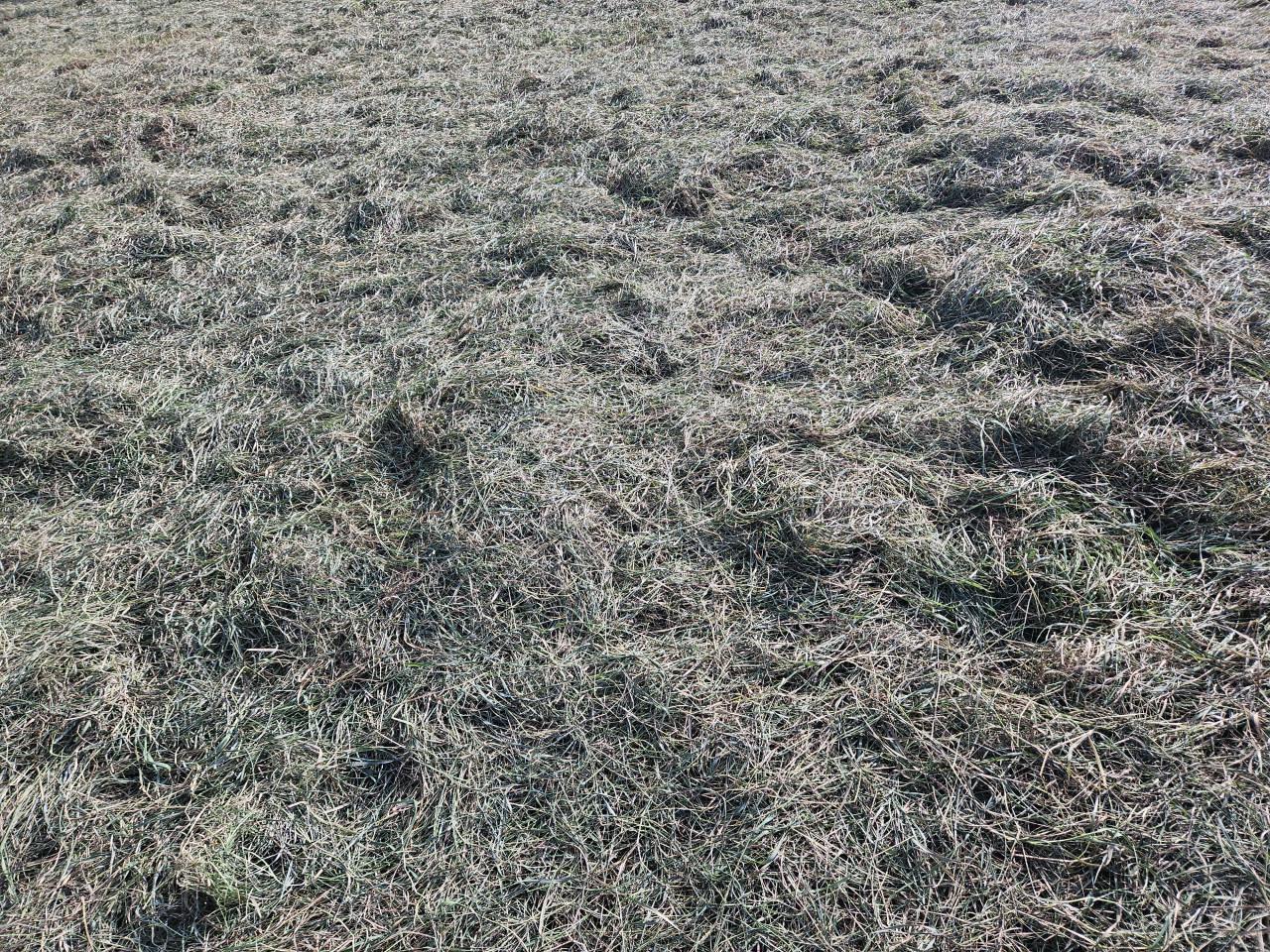 Wikkelbalen/voordrooghooi