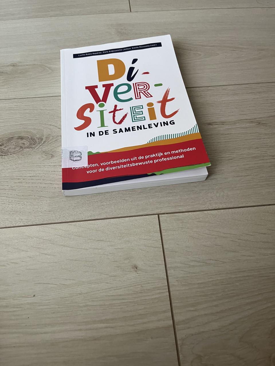 Diversiteit in de samenleving – 2e editie (2020)