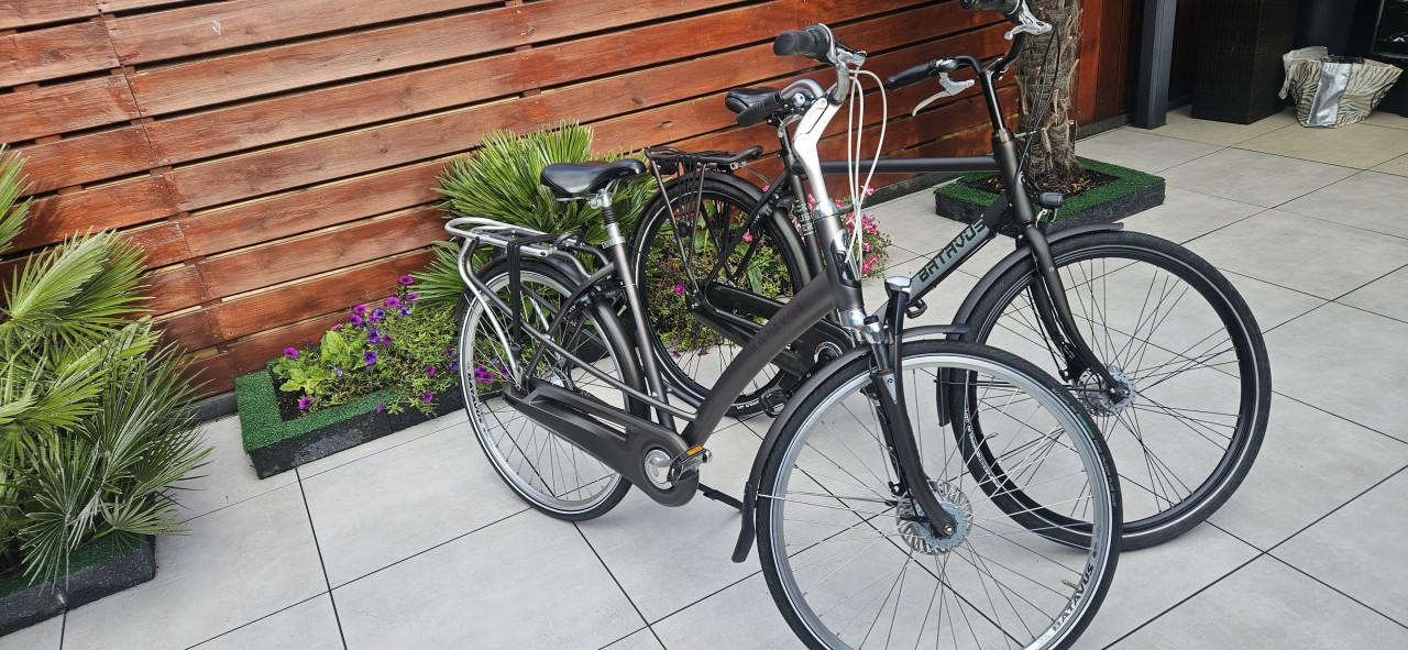 Batavus Mambo Damesfiets en Herenfiets
