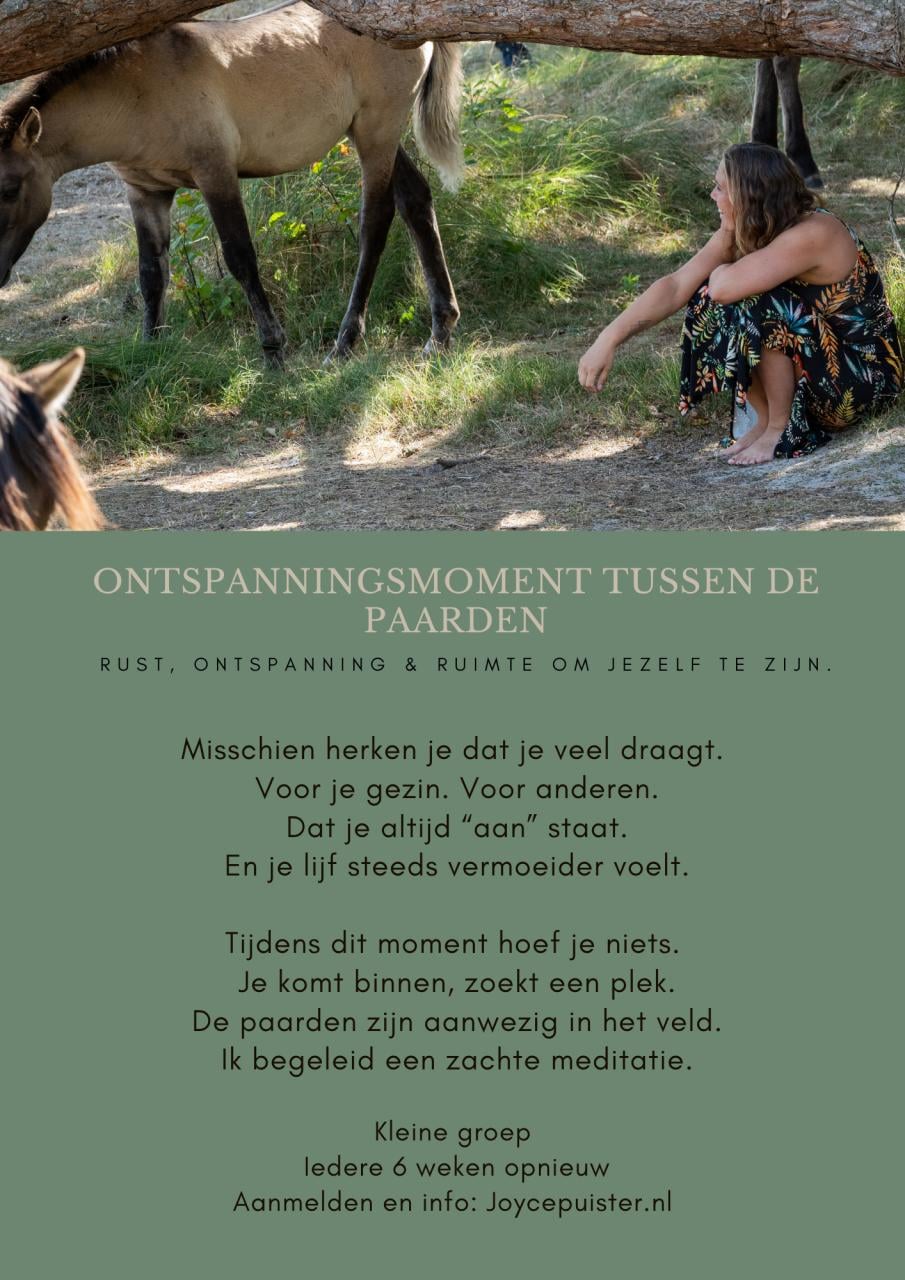 Ontspanningsmoment tussen de paarden