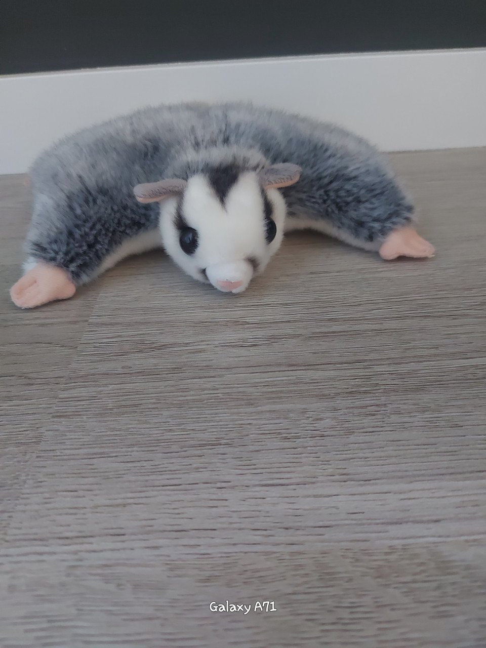 Diverse kleine knuffels
