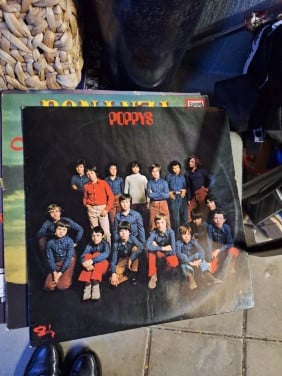 Lp the poppys