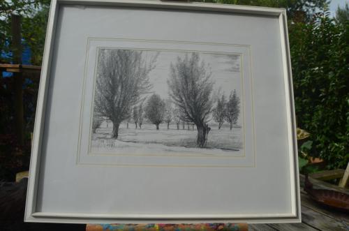 9 x Hendrik Voskuijl (1893 - 1980) potloodtek. bomen (1) o.a. Slenaken