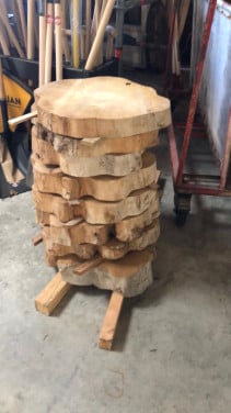 Mooie boomstam schijven 40-50 cm 10 euro ps