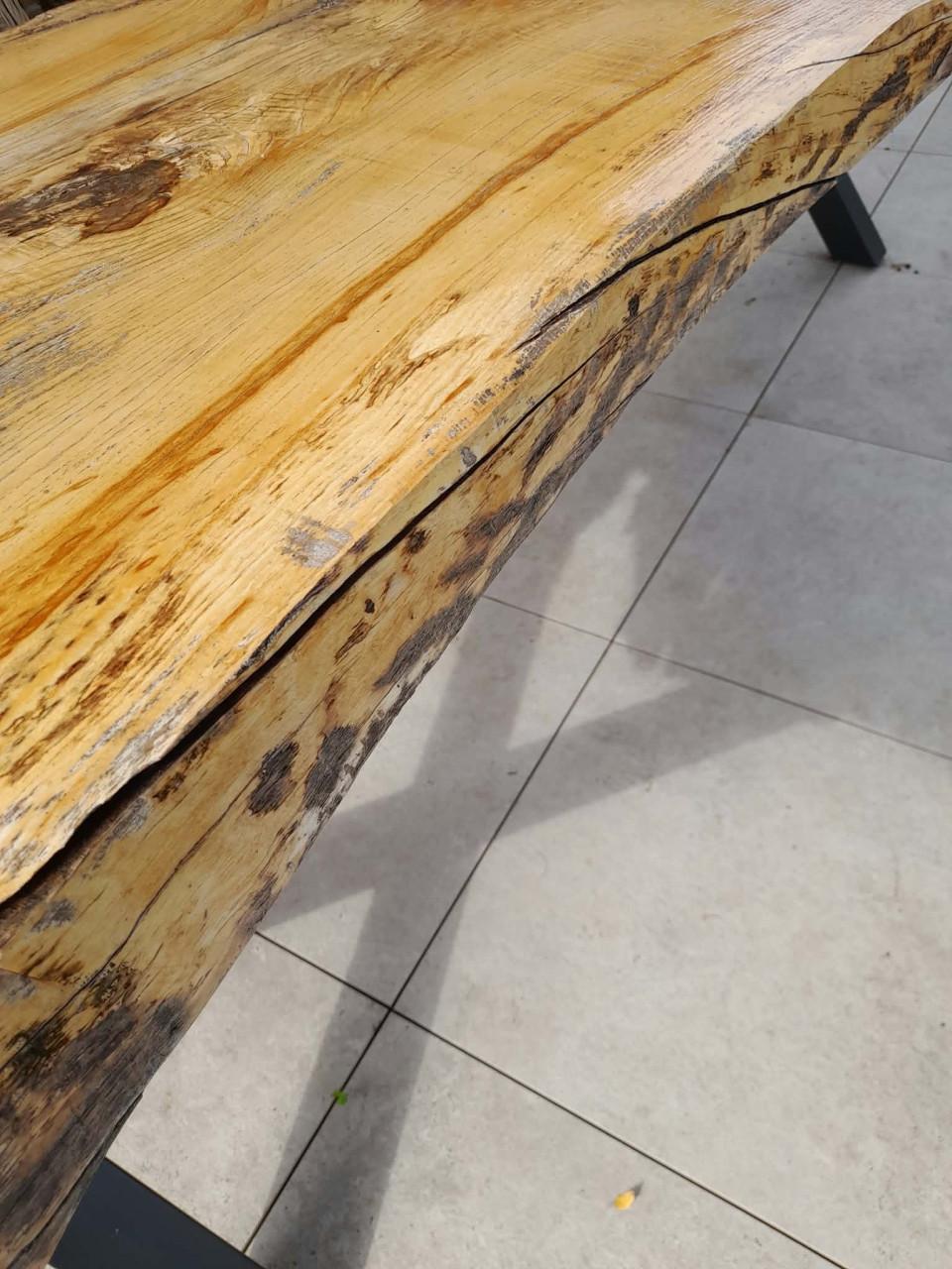 Unieke Boomstamtafel in Beuk 250x80x78 cm