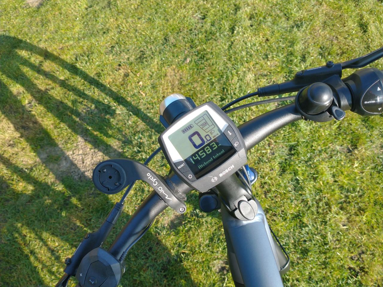 Gazelle Ultimate C8 Belt 65cm