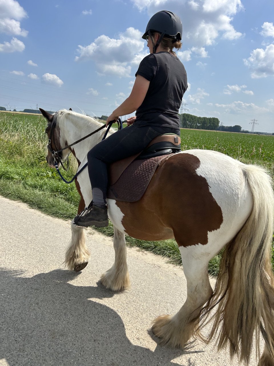 # Equi Pride # Gedrag, Grondwerk, Rijden, Natural Horsemanship etc.