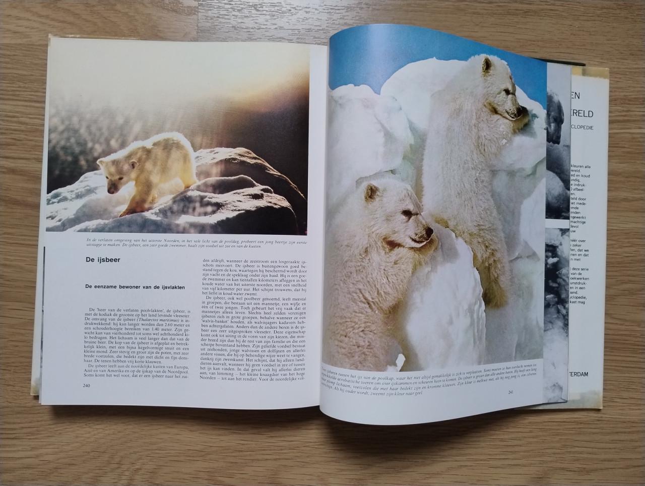 Complete 10 delige serie over de Geheimen van het Dierenrijk