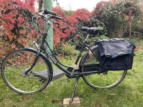 Gazelle primeur damesfiets. 7 versnellingen