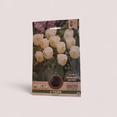 Bloembollen te koop nieuw in verpakking