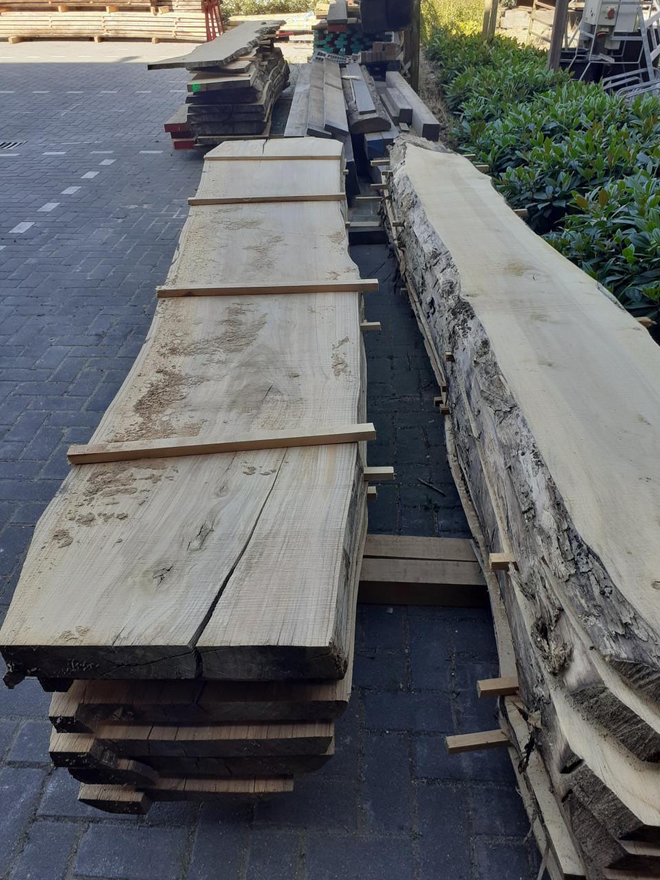 Kers plataan iep es linde boomstam bladen voor een leuke prijs