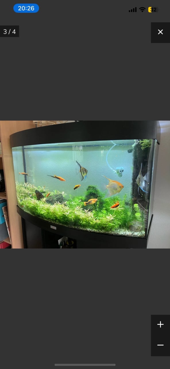 Jewel Vision 180L aquarium incl toebehoren