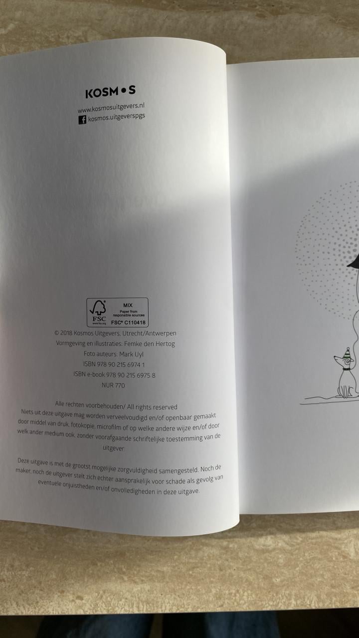 Boek: Overprikkeld door Liesbeth Kamerling