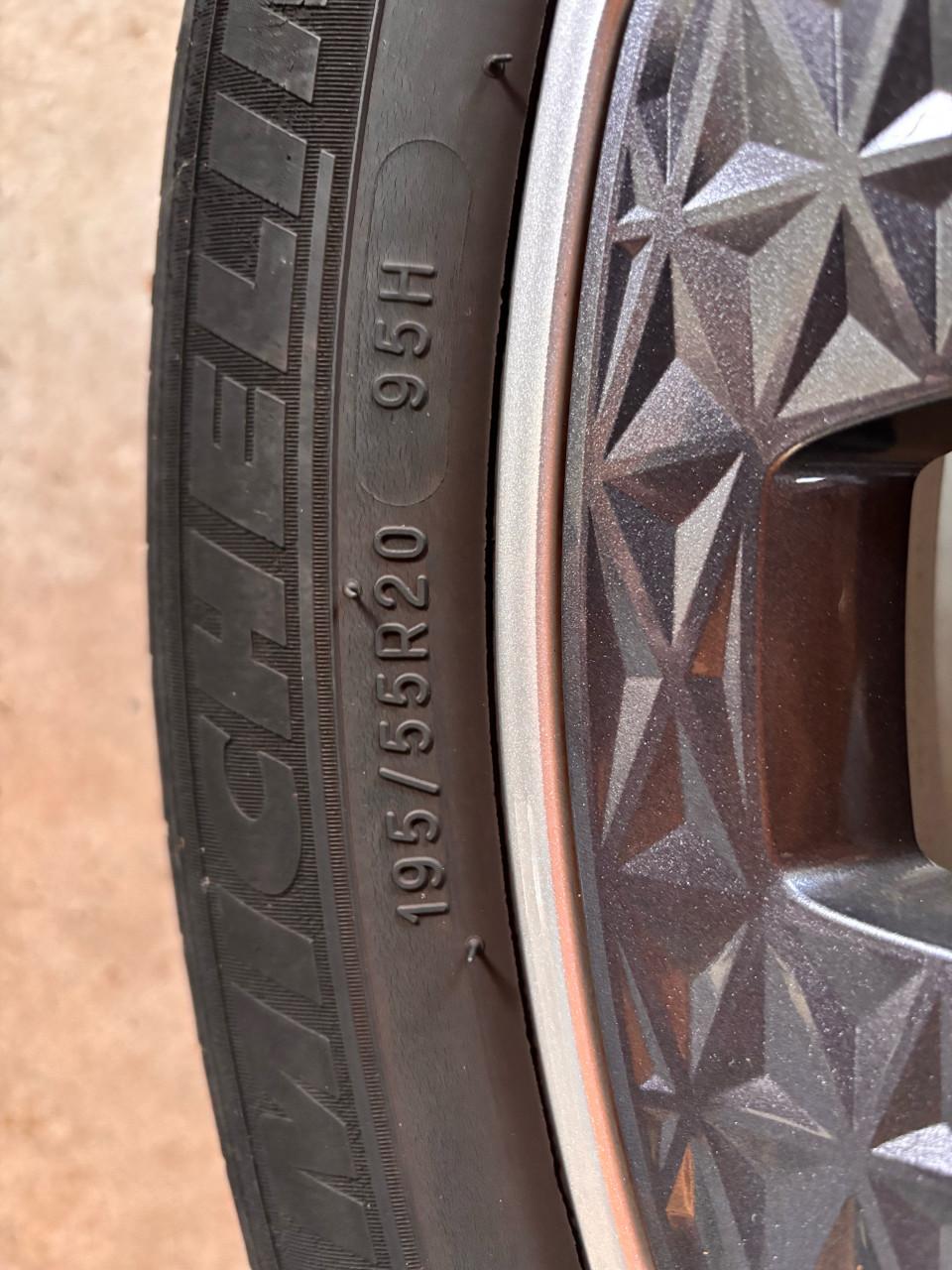 Renault Scenic 195/55R20 95H banden en velgen