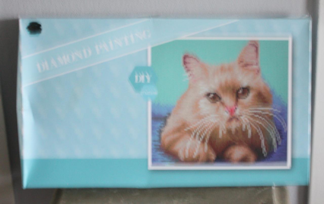 Nieuw in verpakking diamond paiting  rode kat