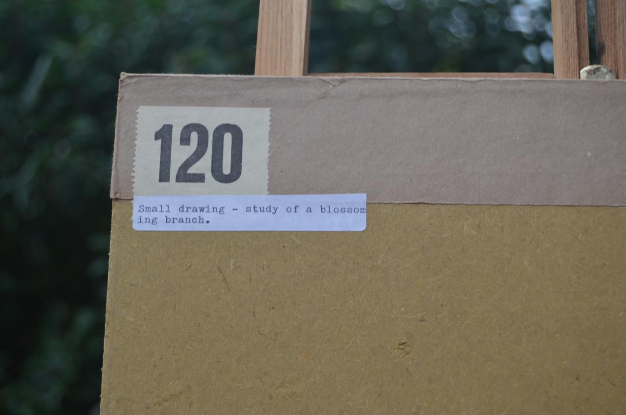 Schitterende oude Japanse tekeningen in passe-partout (3)