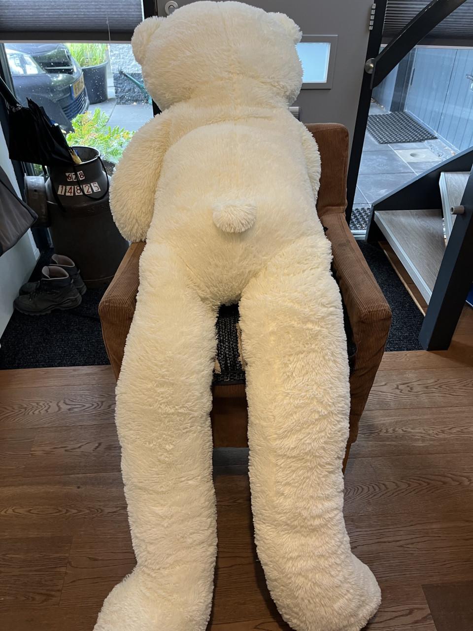 Grote witte knuffelbeer