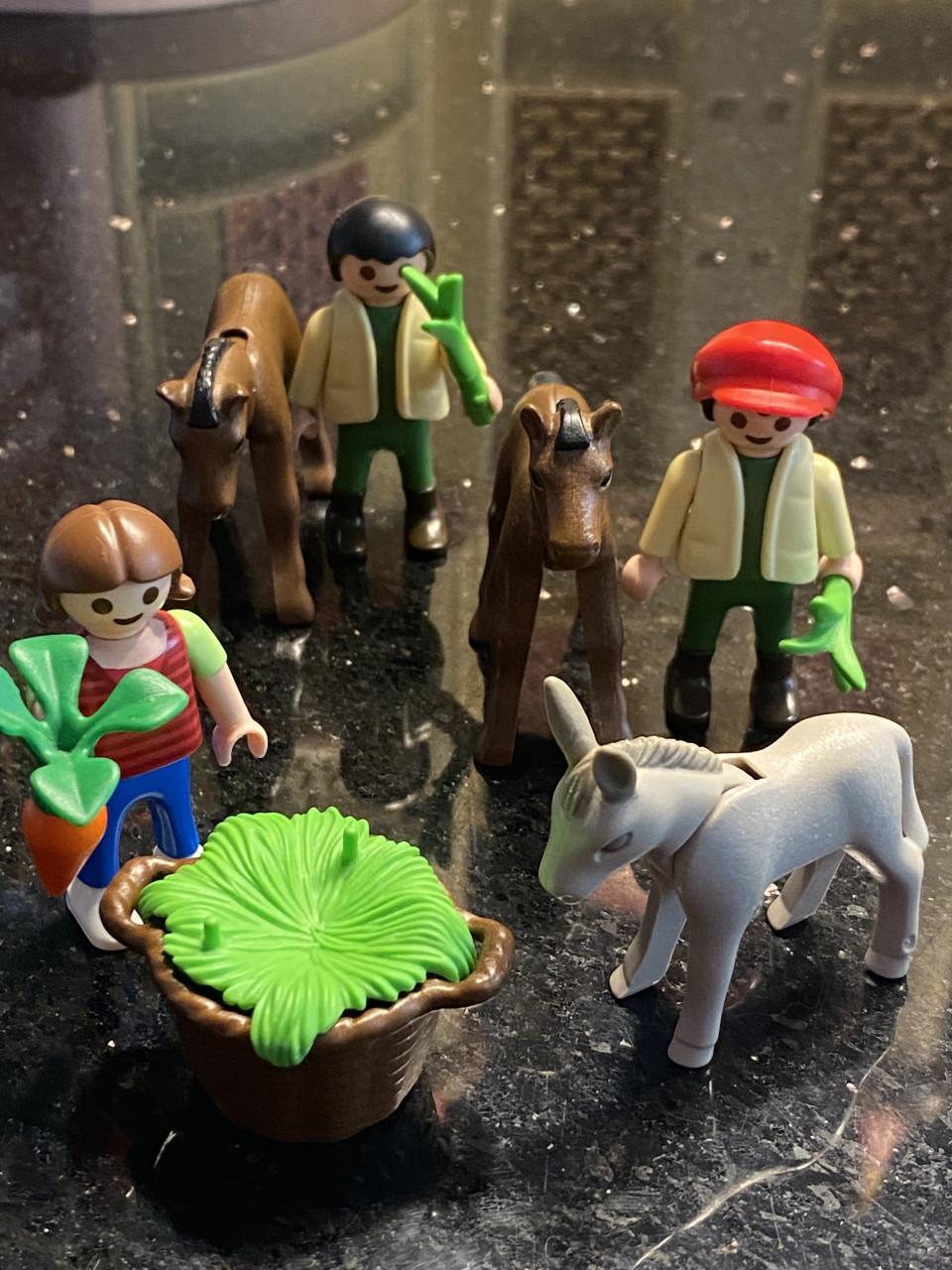 Playmobil jongetjes met paarden en meisje met ezel