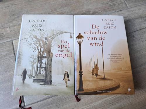 Romans van Carlos Ruiz Zafon  - De schaduw van de wind -