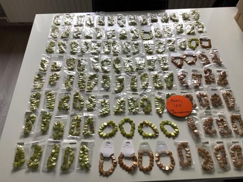 Partij leuke armbandjes ( partij 124).