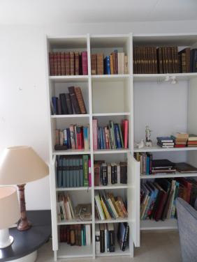 Partij (antieke) boeken