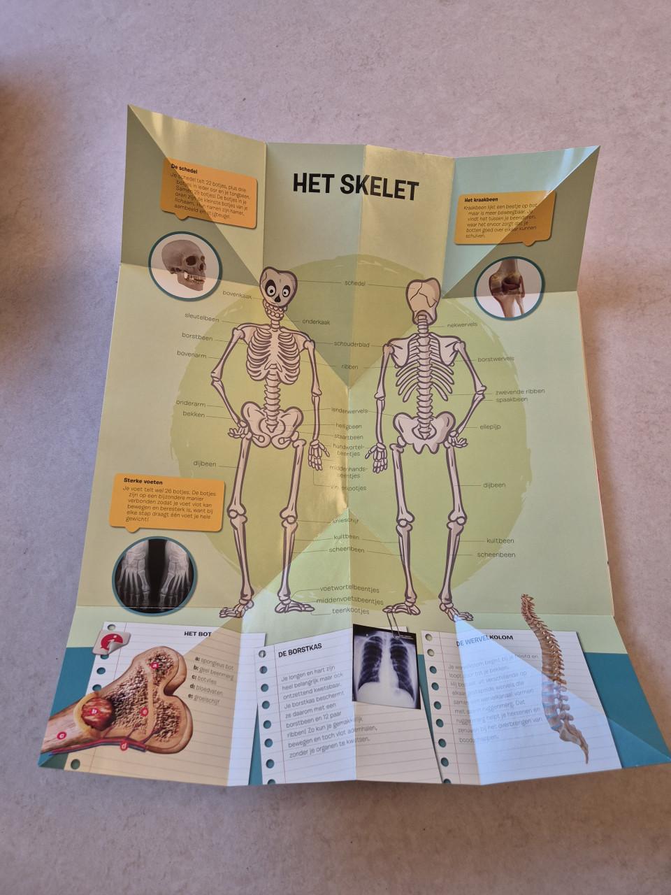 Uitvouwatlas van het menselijk lichaam