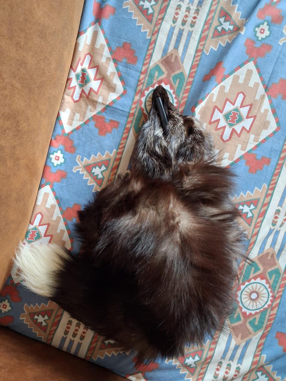 Vos stola en nertsenbont stola