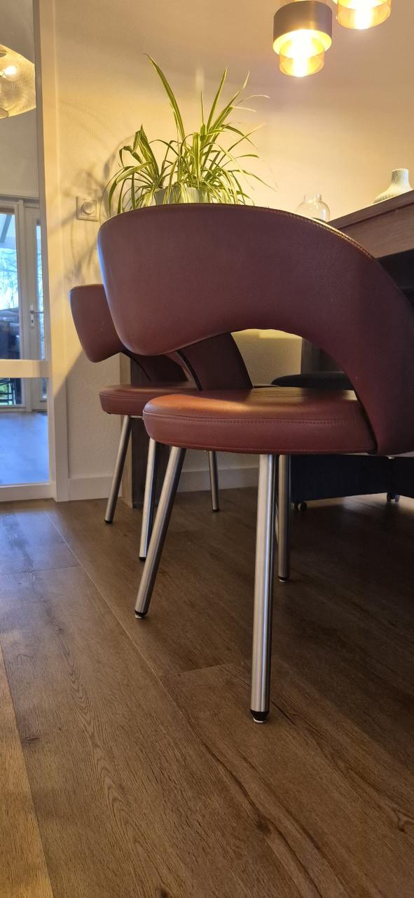 Eetkamerstoelen (2 stuks)