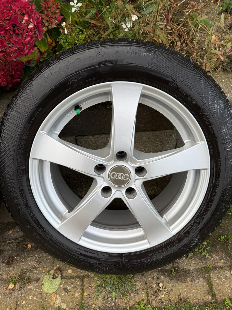 Winterbanden set 225/55R17