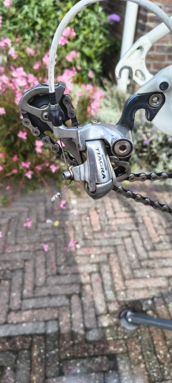 Specialized Dolce sport dames racefiets
