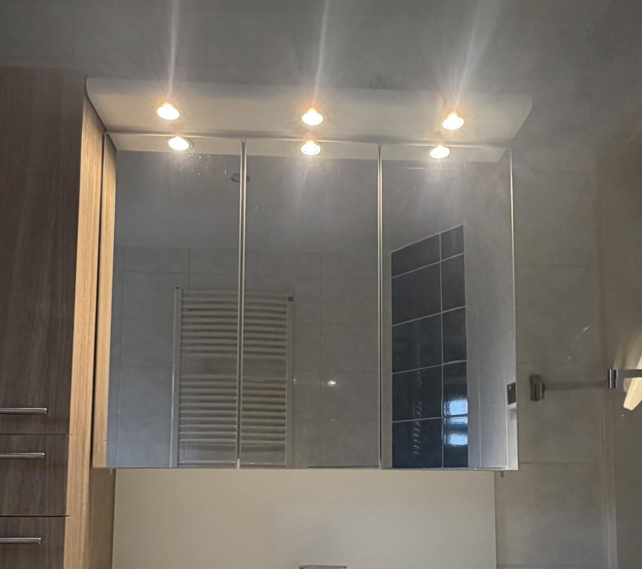 Detremmerie spiegelkast met verlichting en glazen planken