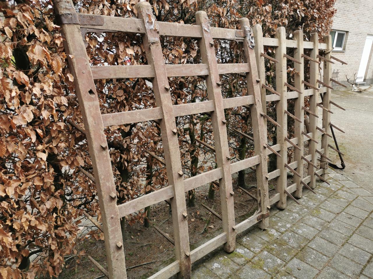 Eg van hout