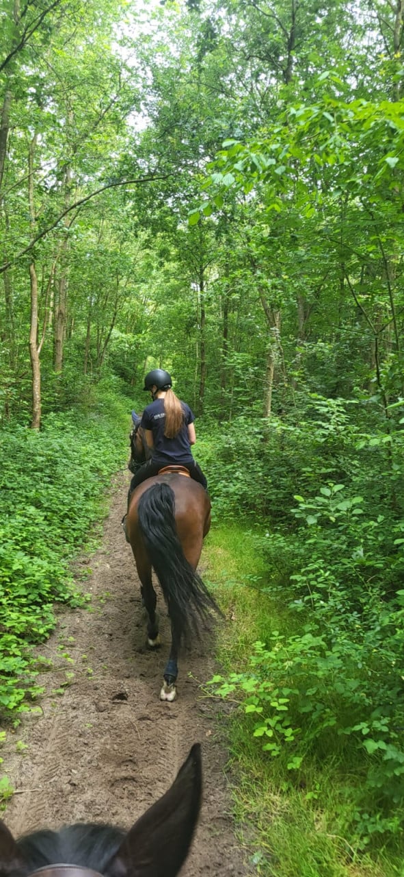 Ponykamp In Middelburg!
