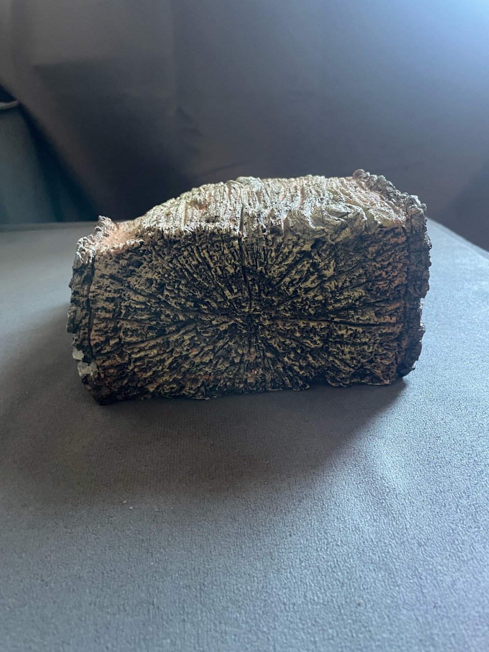 Grot voor in terrarium