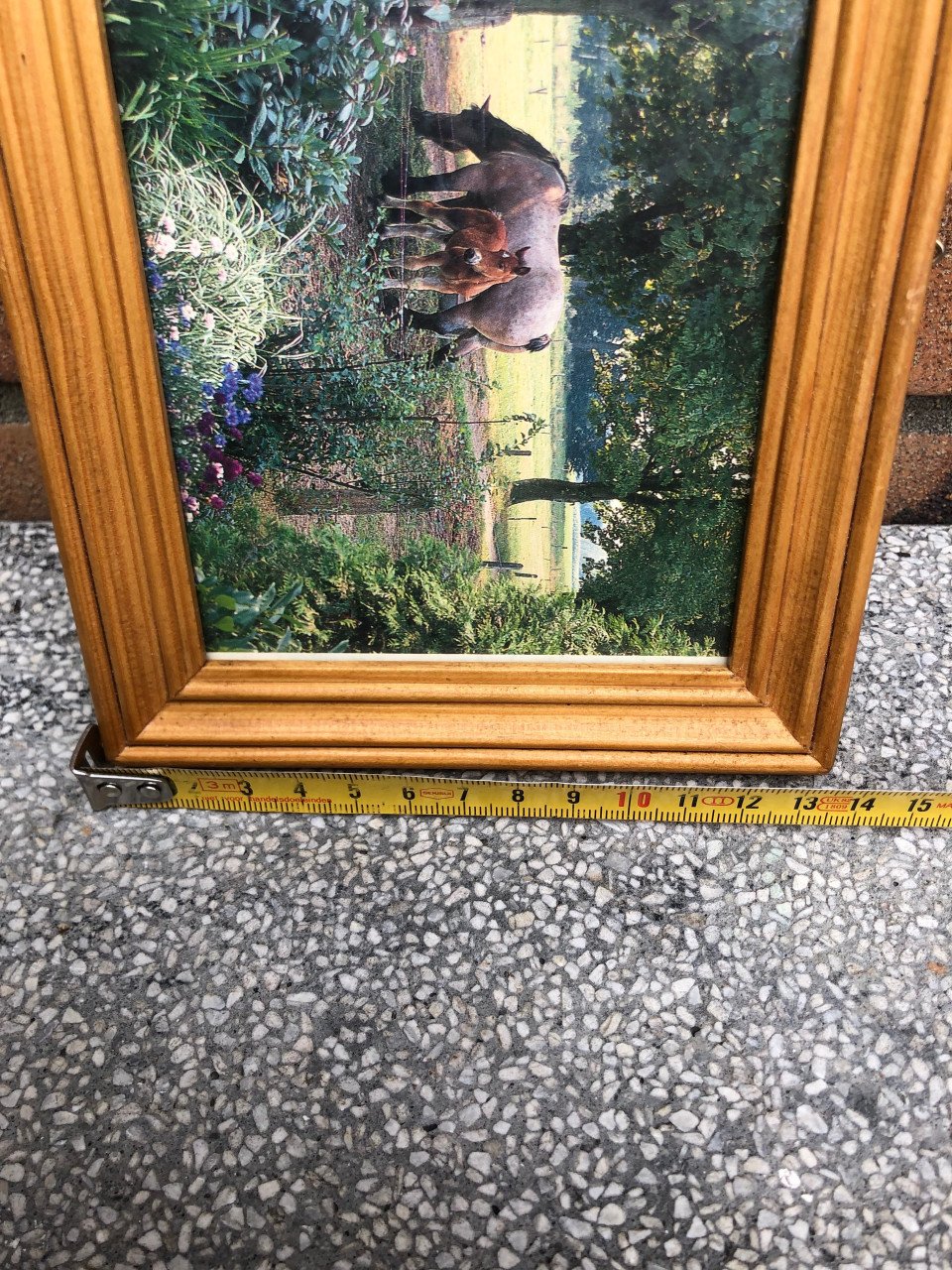 Leuk lijstje met paarden.