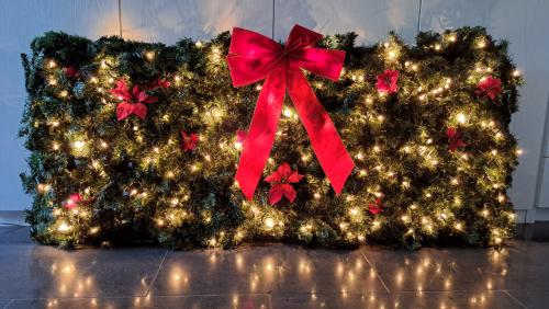 Trellis vakwerk met kerst versiering en verlichting