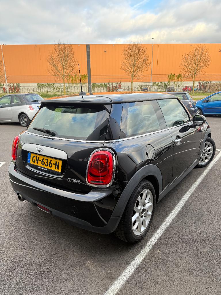 Mini Cooper 1.5 - business