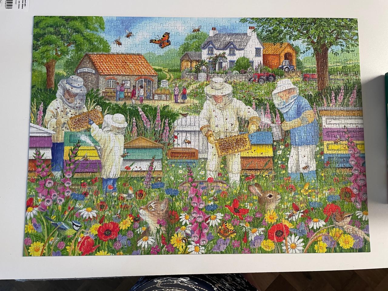 Falcon puzzel: The beekeepers 11381