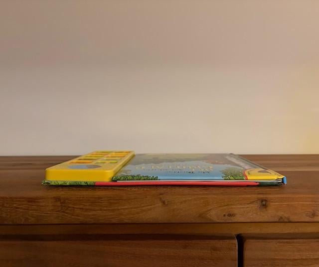 Het Gruffalo Geluidenboek | Julia Donaldson & Alex Scheffler