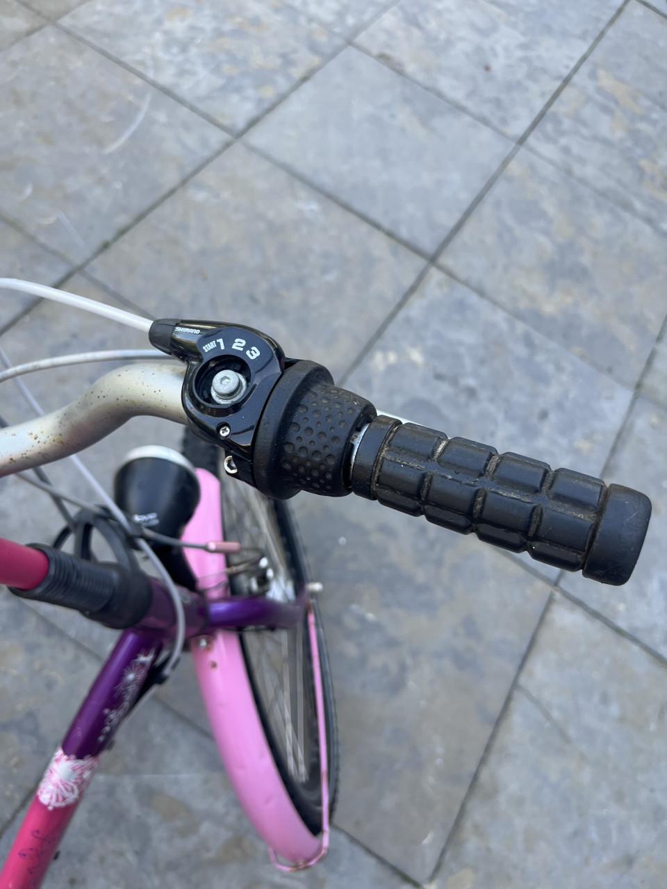 Meiden fietsen