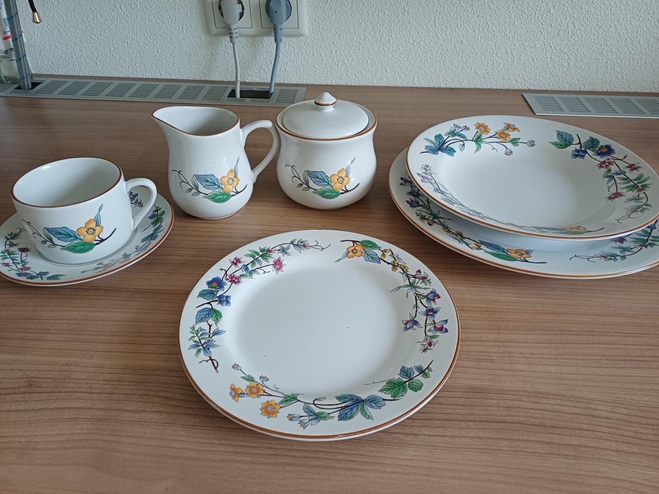Servies 6 delig