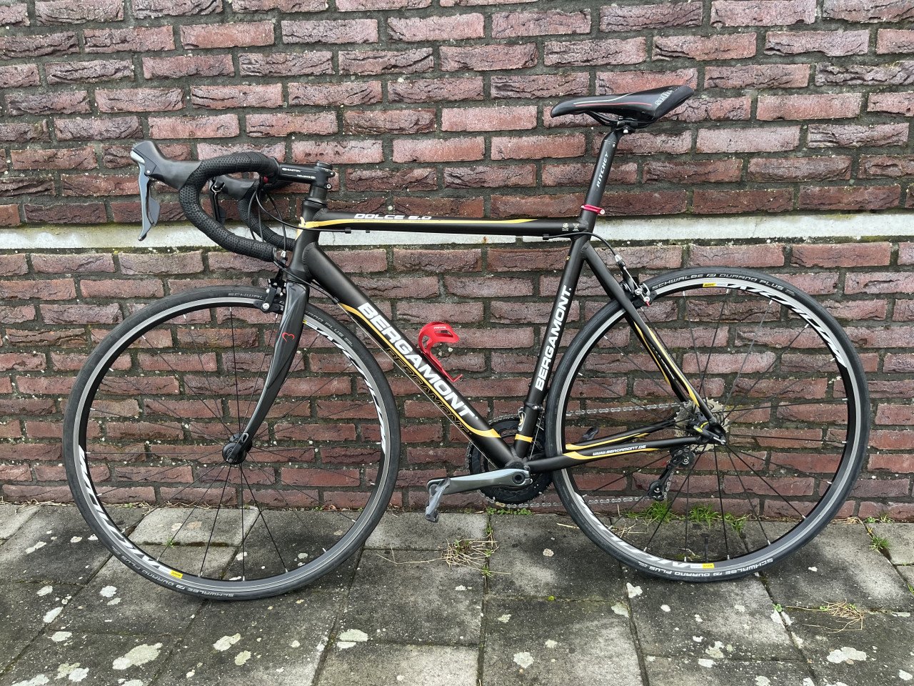 Bergamont Dolce 6.0 56 cm