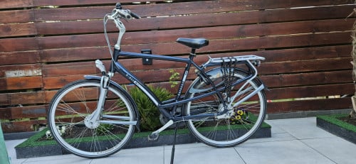 Batavus herenfiets Limited Edition