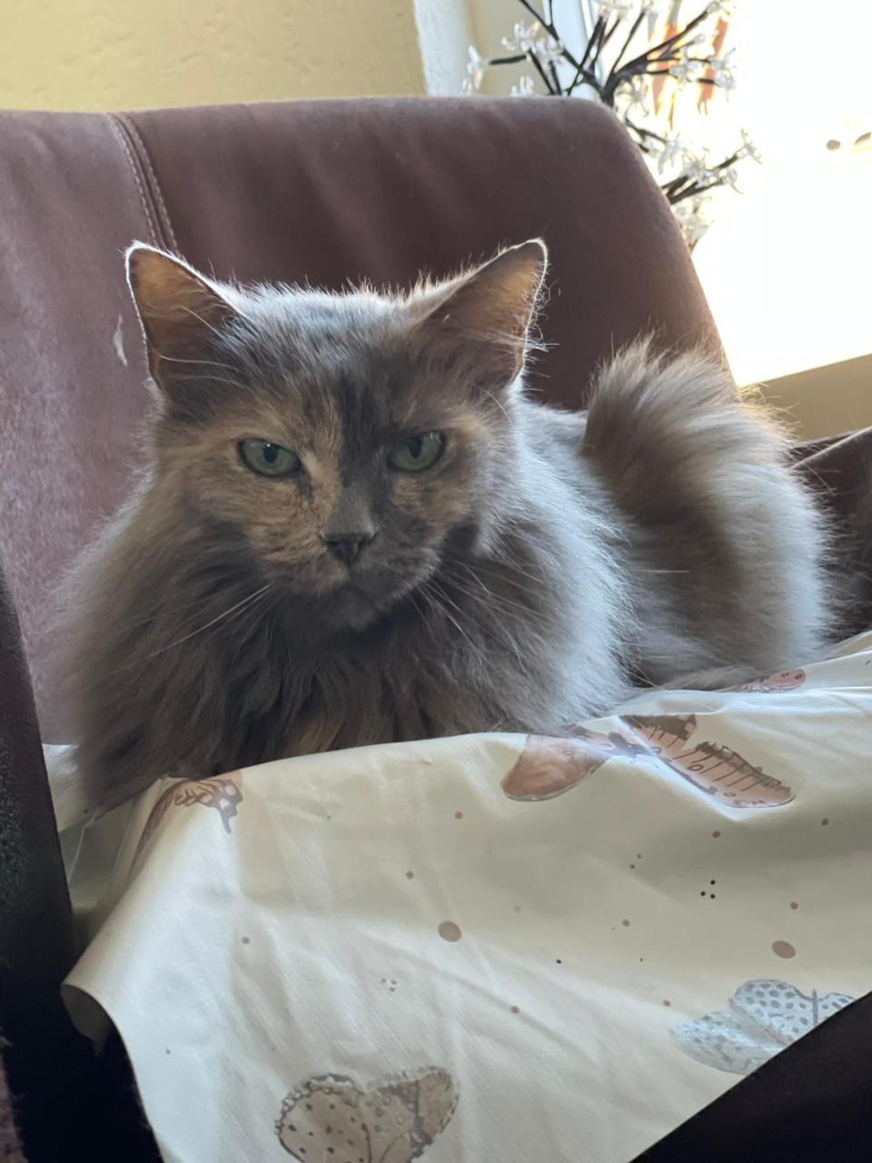 Gezocht nieuw huisje