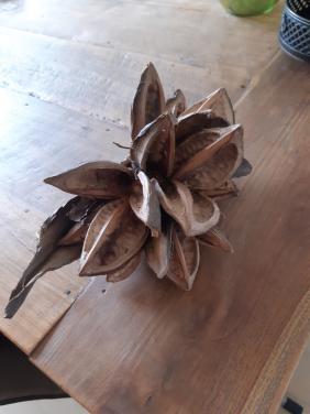 Decoratie voor opschik in goede staat