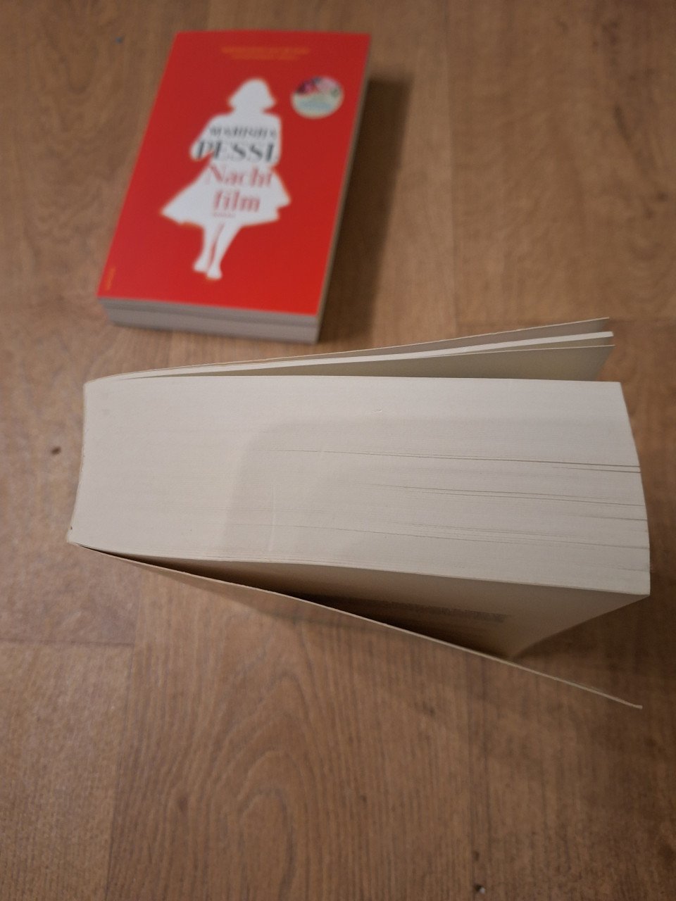 2 boeken Marischa Pessl