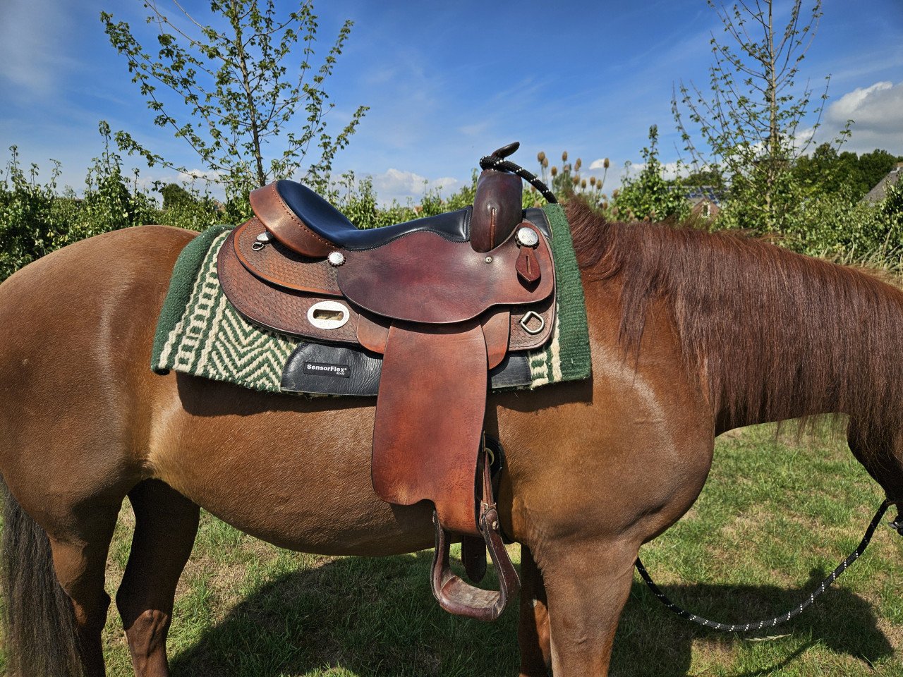 Westernzadel Western Imports