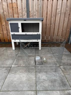 Kunststof konijnenhok, compleet (nieuw nieuwprijs € 290)