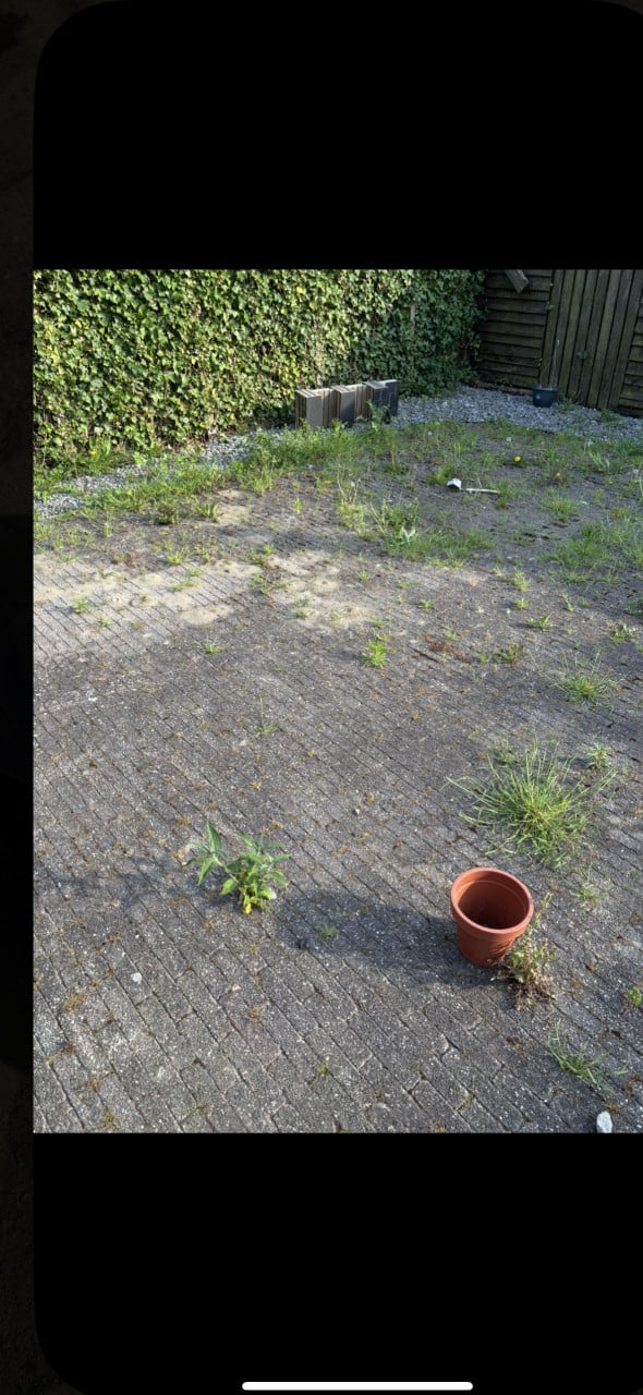 Kleine klinkers gratis ophalen 20x5x7